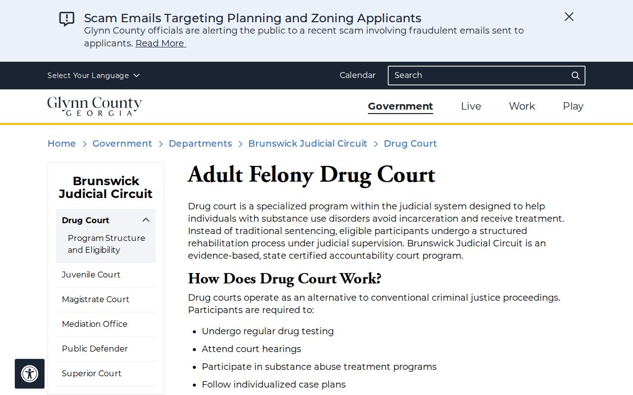 Glynn County criminal docket Adult Felony Drug Court information